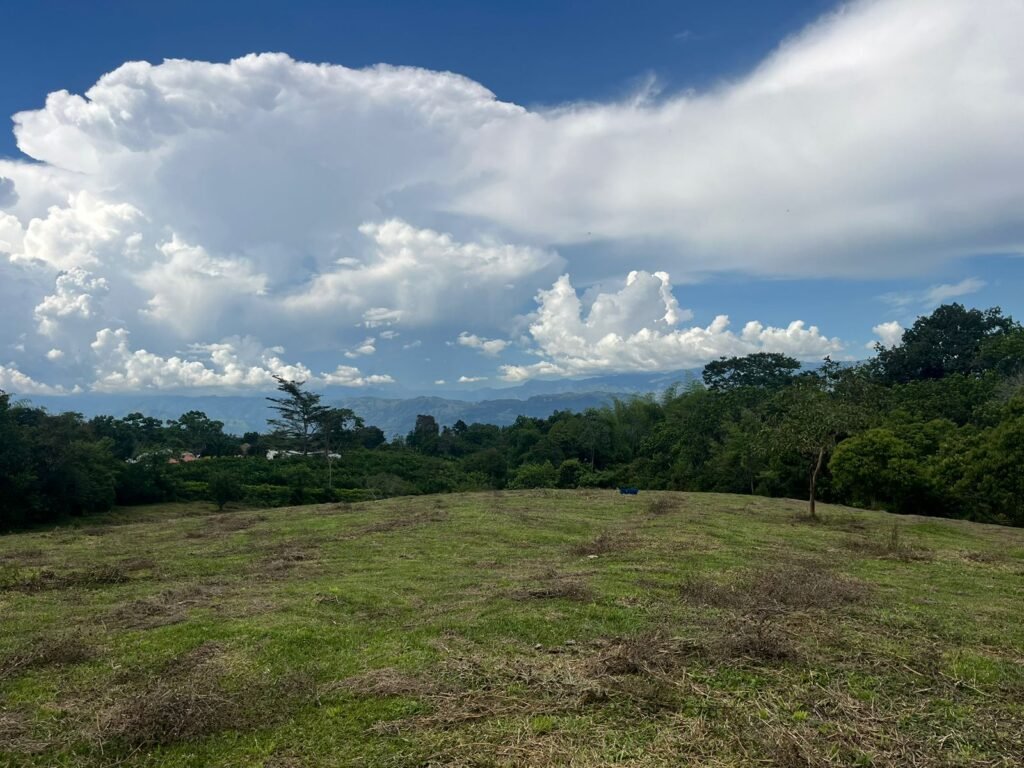 Lote en Támesis