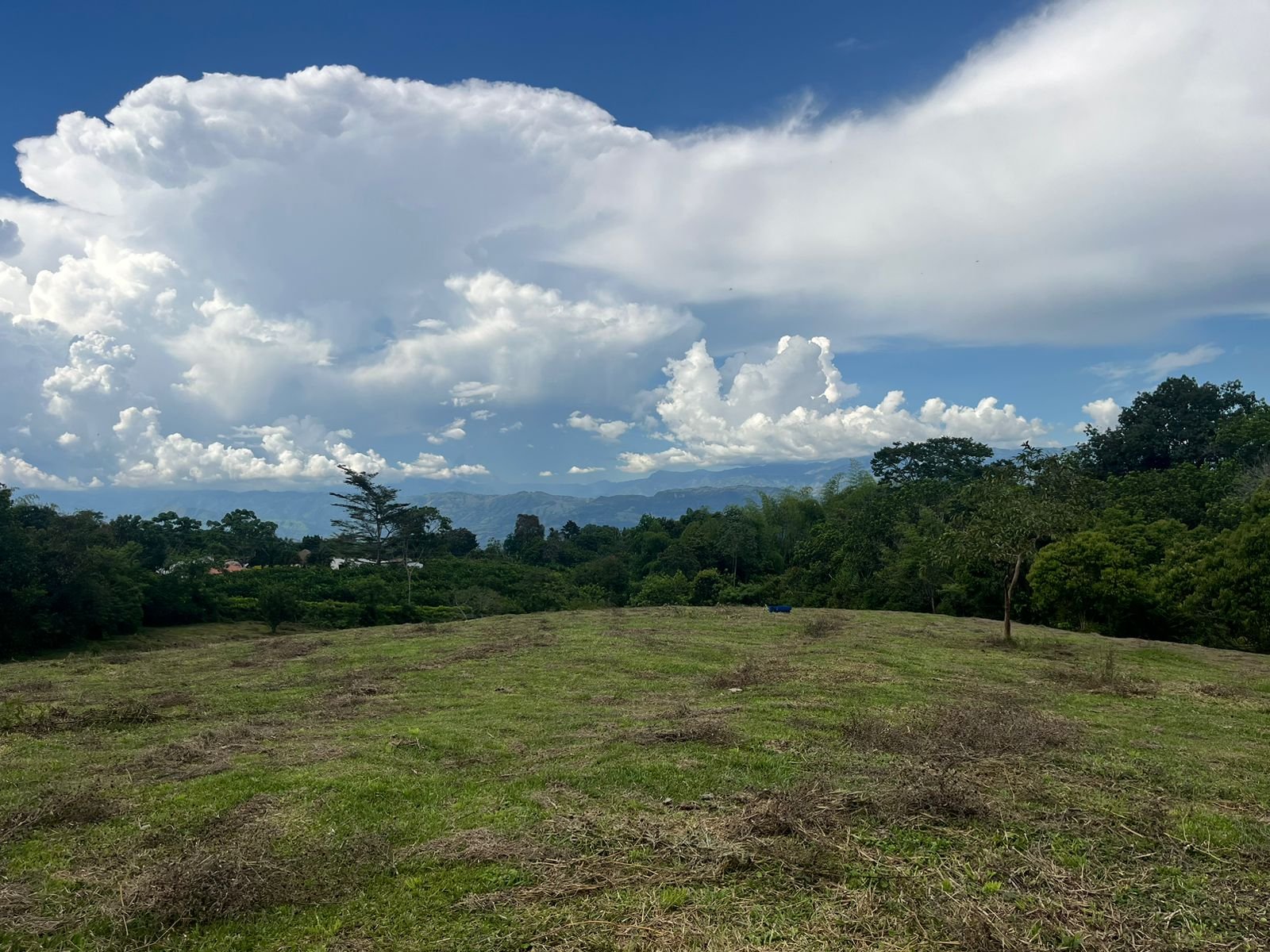 Lote en Támesis